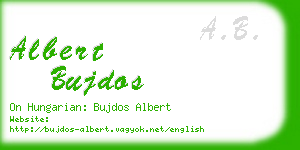 albert bujdos business card